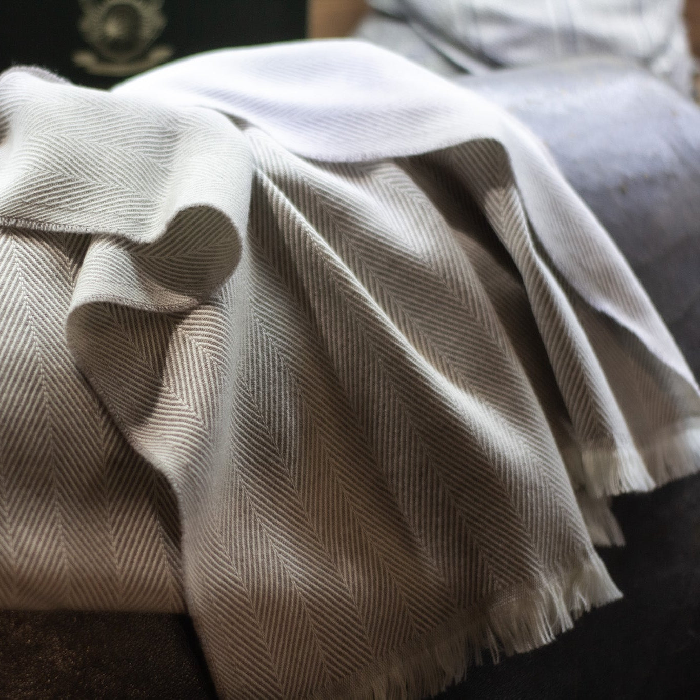 Cashmere Scarf CB1935 - Multicolored with Beige