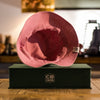 Cloche Cap - La Vie en Rose - Limited Edition